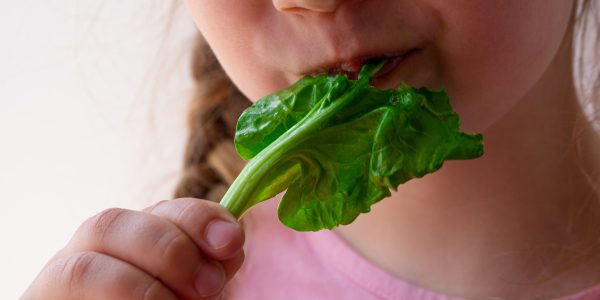 Recetas deliciosas con espinacas para que los niños disfruten de este superalimento