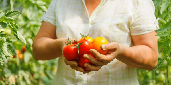 superalimentos-mes-junio